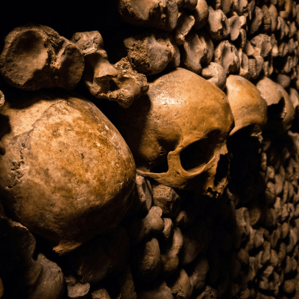 The Secret War Beneath Paris: WWII and the Shadowed Legacy of the&nbsp;Catacombs